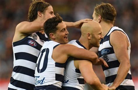 geelong cats odds